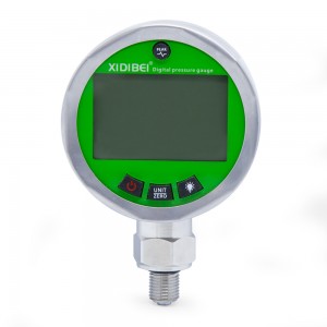 XDB410 Digital Pressure Gauge