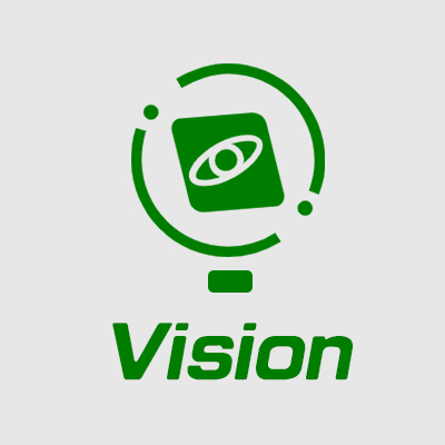 Vision
